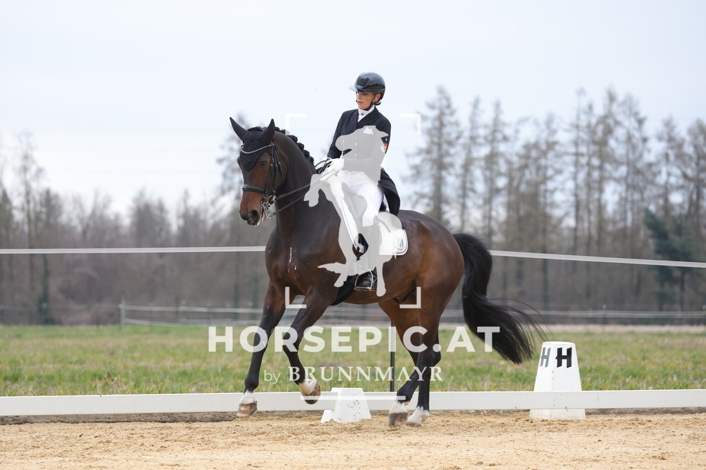 0P6A5700 | Willkommen bei Brunnmayr - Design & Fotografie – Ihrem Spezialisten für Reitturniere und Pferdeveranstaltungen in Oberösterreich, Salzburg und Bayern! Seit über 17 Jahren sind wir leidenschaftlich dabei.