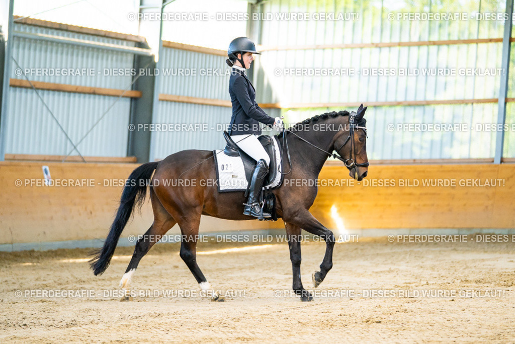 DSC06148 | Pferdegrafie