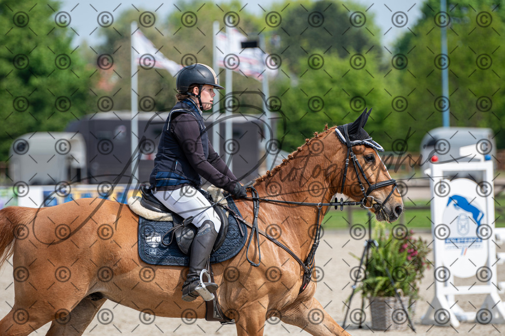 KPT_2659 | andre_photographic