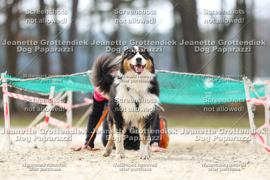 Dog Paparazzi - Strongdog North Mrz26-5437 | Dog Paparazzi Jeanette Grottendiek Fotografie & Videografie - Realisiert mit Pictrs.com