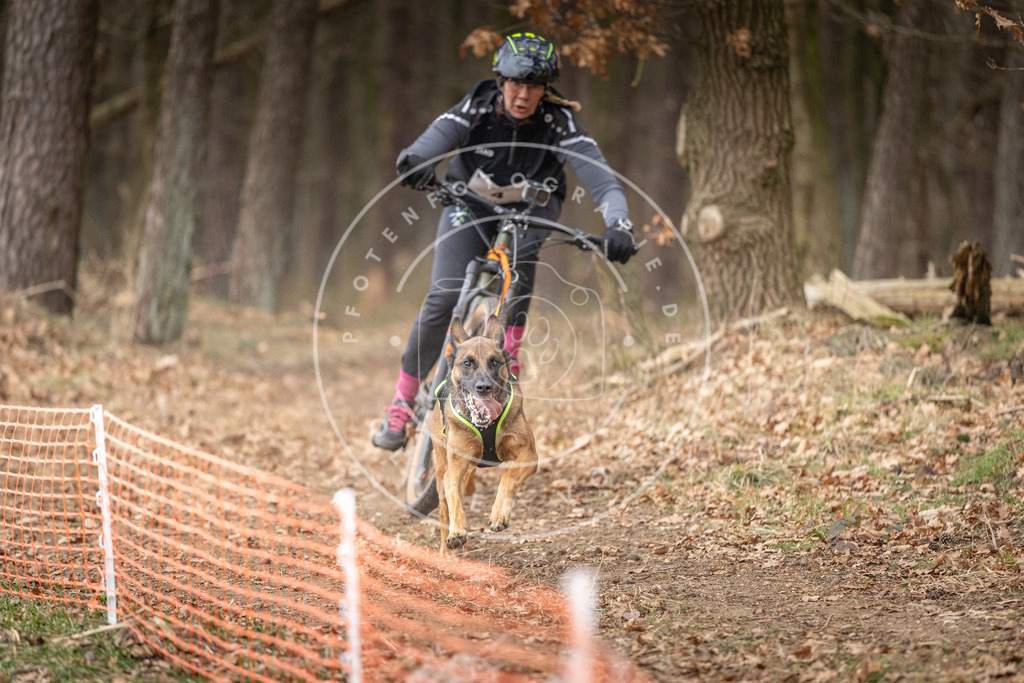 Pfotenfotografie_DV3A1782 | Hundefotografie, Tierfotograf, Pfotenfotografie, Fotoshooting Hund, Hunde Portrait, Hundesport, Hundeportraits, Heideshooting, Hunde, Sportfotograf, Hundefotograf, Turnierhundsport, THS,  - Realisiert mit Pictrs.com