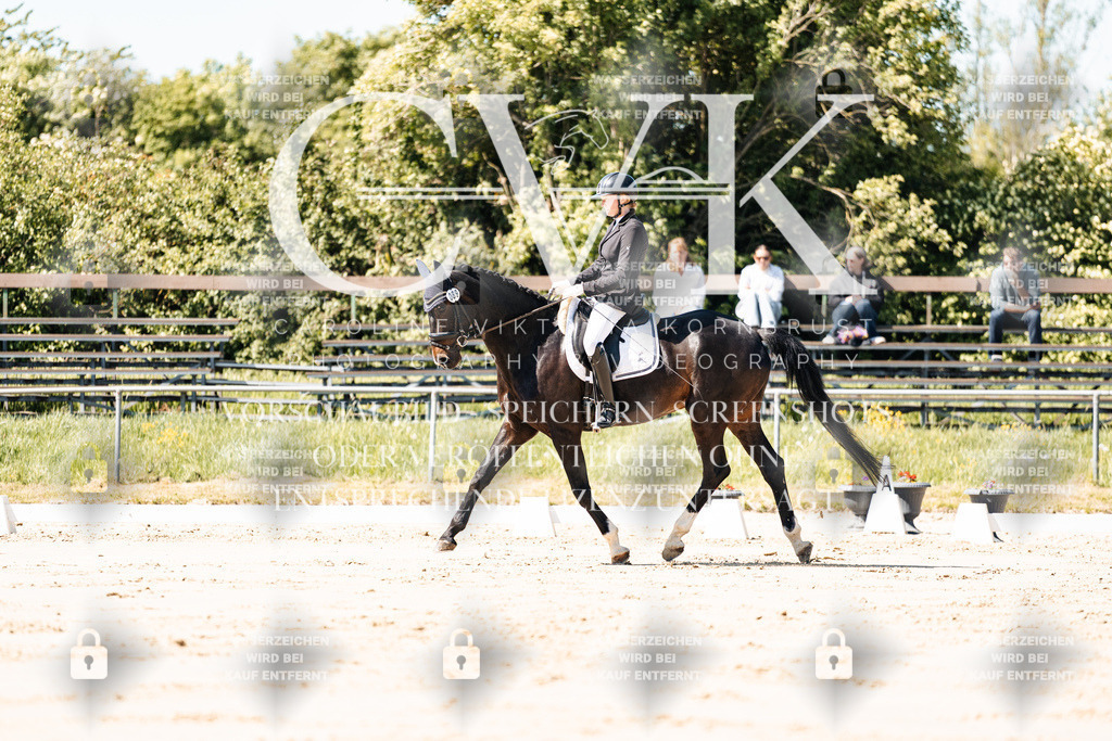 CK905065 | Turnierfotografie Pferdefotografie Trier Rheinland-Pfalz Pferdesport Reitsport Tierfotografie Sportfotografie Pferdevideo Pferdevideografie Equestrianvideography equestrianphotography  - Realisiert mit Pictrs.com