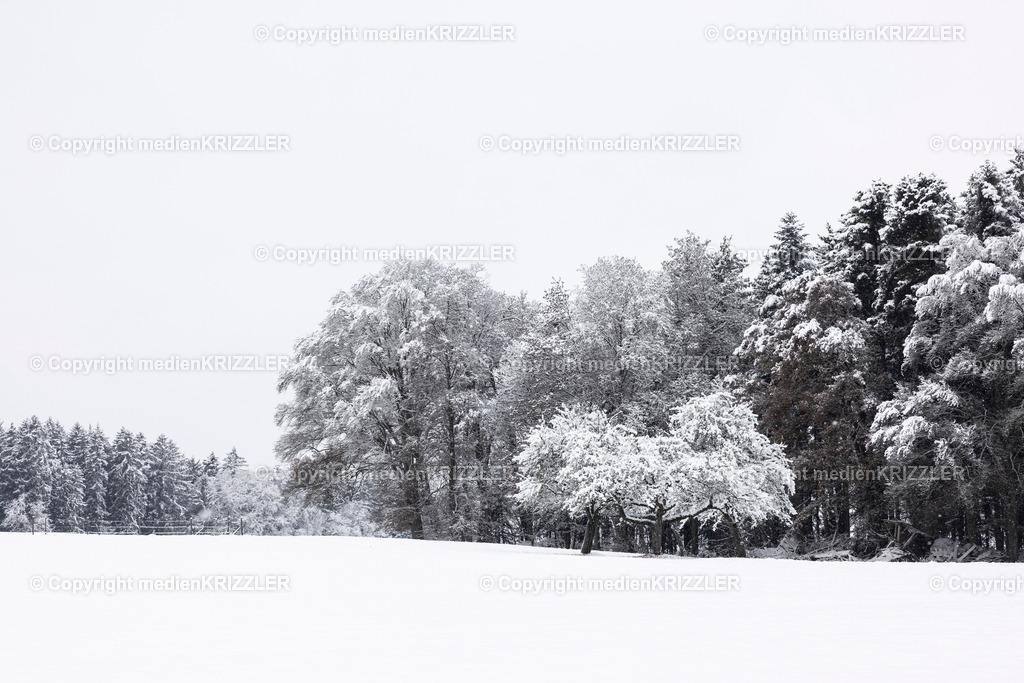 _J3A9528 | medienkrizzler - Realisiert mit Pictrs.com