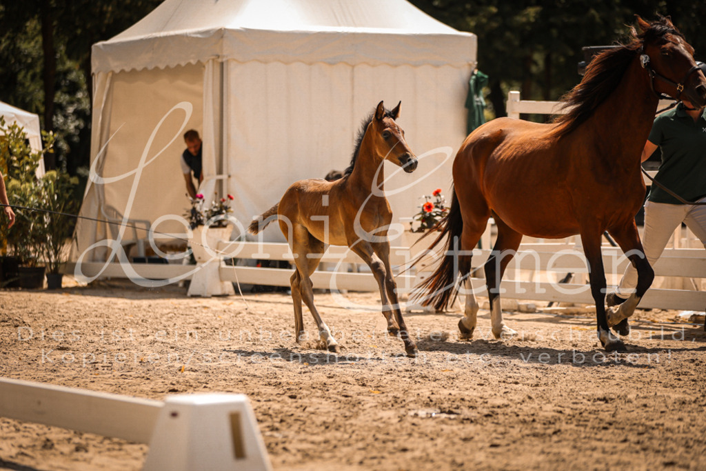 03.DoAB00013 | Leoni Ertmer Photography - Realisiert mit Pictrs.com