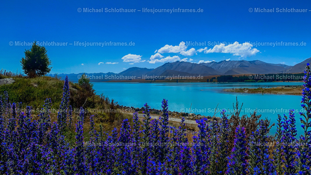Lake Tekapo - New Zealand | Wildlife- und Landschaftsfotografie als Wandbild, Poster & mehr. Einzigartige Naturmomente aus Neuseeland, Norwegen & weltweit – fotografiert von Michael Schlothauer. - Realisiert mit Pictrs.com
