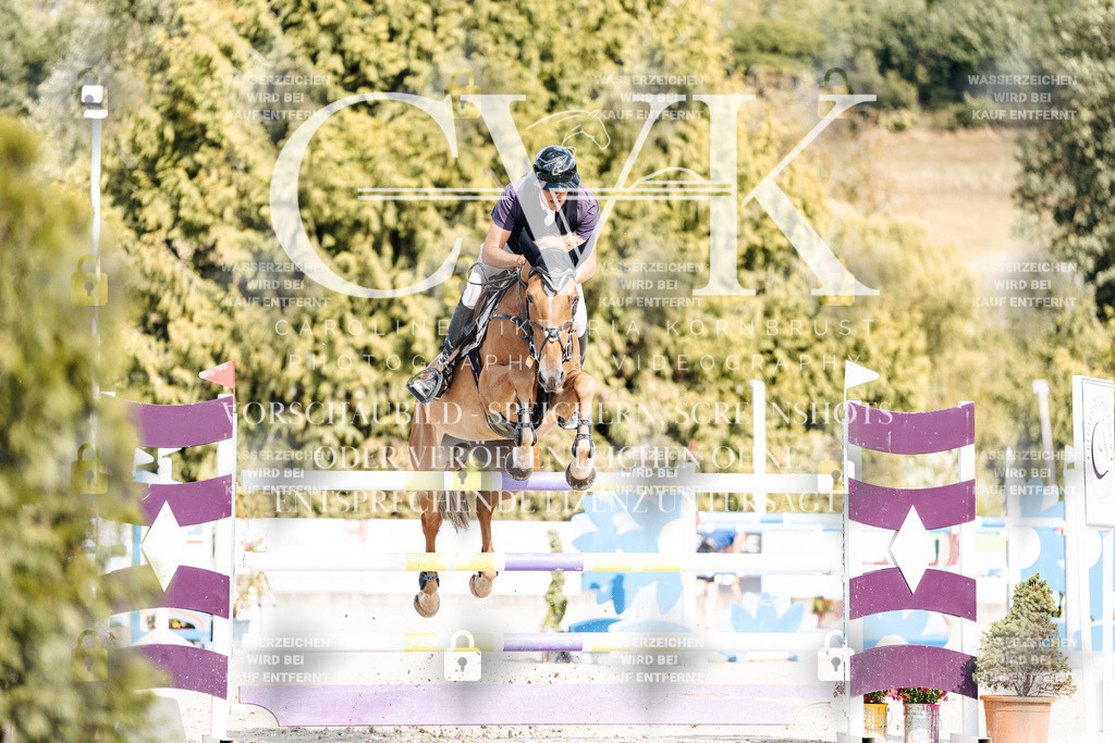CK908963 | Turnierfotografie Pferdefotografie Trier Rheinland-Pfalz Pferdesport Reitsport Tierfotografie Sportfotografie Pferdevideo Pferdevideografie Equestrianvideography equestrianphotography  - Realisiert mit Pictrs.com