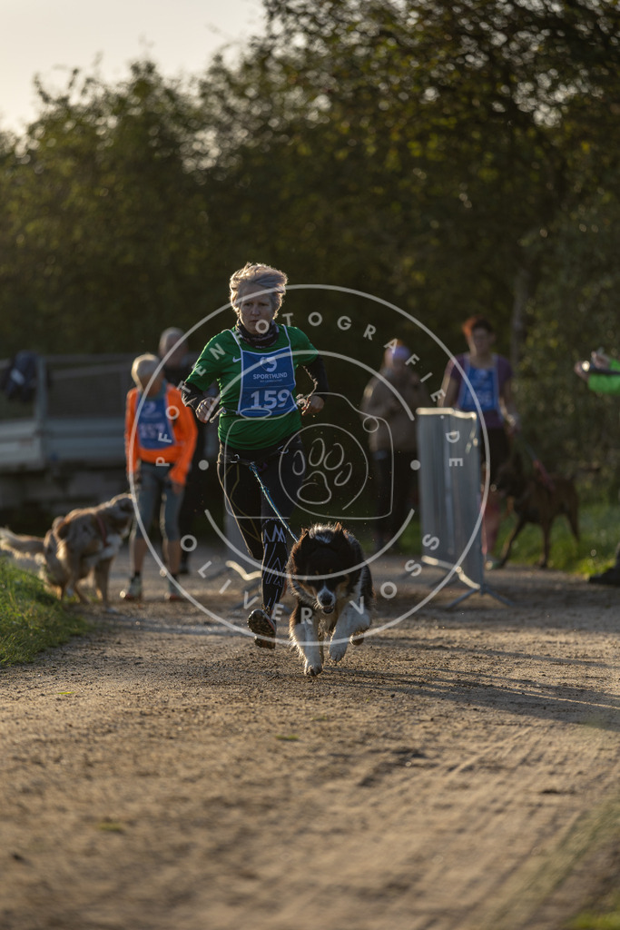 Pfotenfotografie.de_DV3A2570 | Hundefotografie, Tierfotograf, Pfotenfotografie, Fotoshooting Hund, Hunde Portrait, Hundesport, Hundeportraits, Heideshooting, Hunde, Sportfotograf, Hundefotograf, Turnierhundsport, THS, canicross - Realisiert mit Pictrs.com