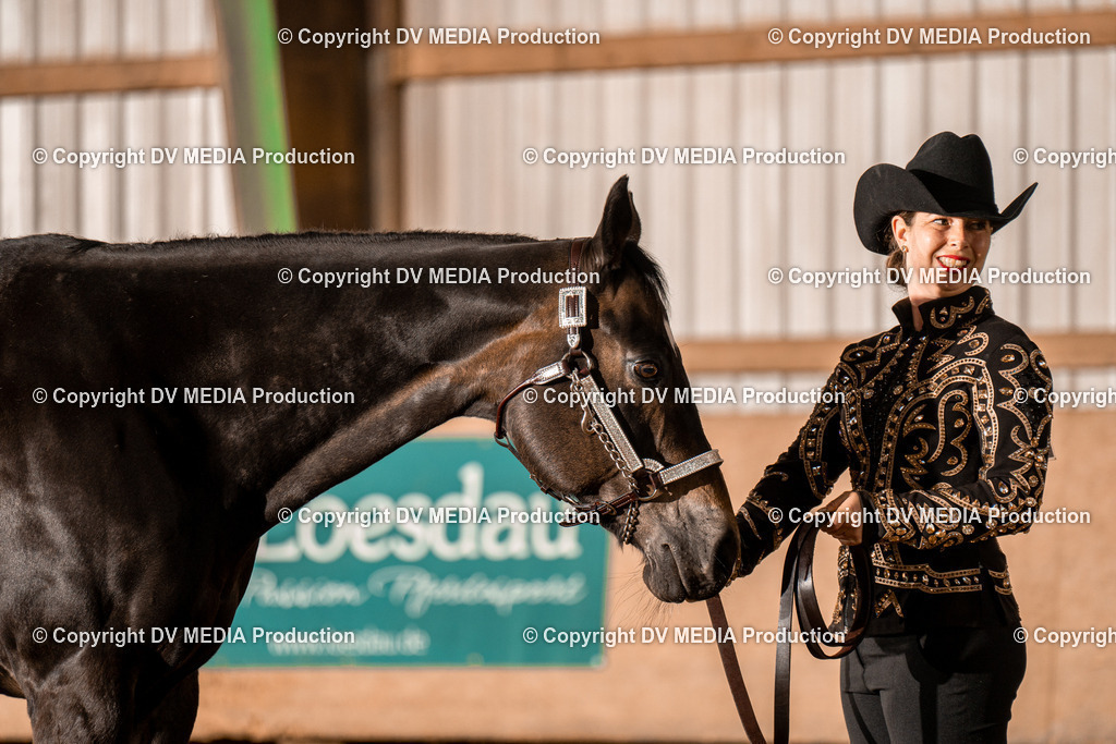 BAL01381 | dv-media-shop - Realisiert mit Pictrs.com