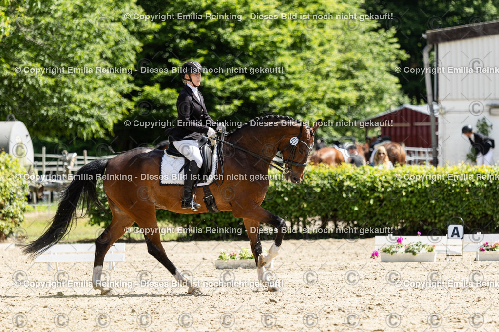 CL5A8652 | Emilia Reinking Fotografie - Realisiert mit Pictrs.com