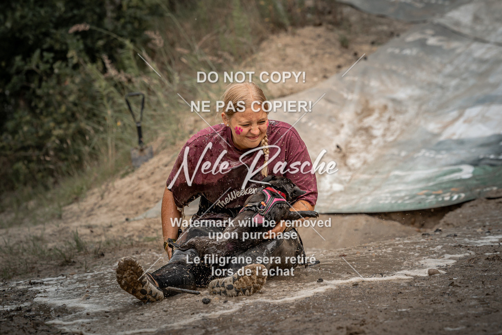 nelerasche_sa1500-1530_139 | nelerasche