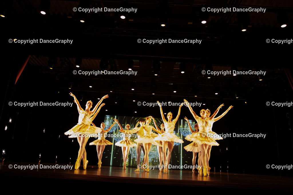 GPHY5300 | DanceGraphy - Realisiert mit Pictrs.com