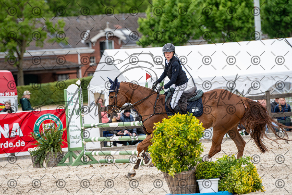 KPT_0285 | andre_photographic