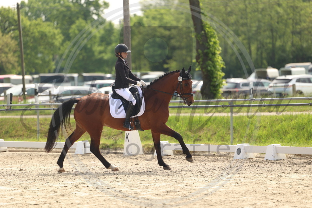 994A6445 | sabrinanicolaifotografie - Realisiert mit Pictrs.com