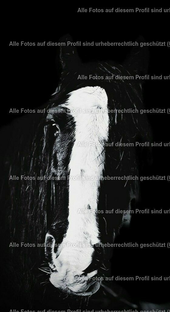 cee3ee56-8b50-412a-abb3-5274fffc4a37_2 | krollfotografie - Realisiert mit Pictrs.com