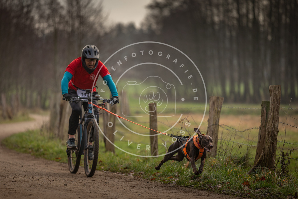 Pfotenfotografie_DV3A1873 | Hundefotografie, Tierfotograf, Pfotenfotografie, Fotoshooting Hund, Hunde Portrait, Hundesport, Hundeportraits, Heideshooting, Hunde, Sportfotograf, Hundefotograf, Turnierhundsport, THS,  - Realisiert mit Pictrs.com