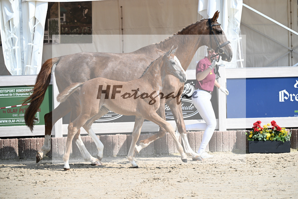 Agalord x C-Indoctro_SF_Diez_12250125 | hf-fotografie - Realisiert mit Pictrs.com