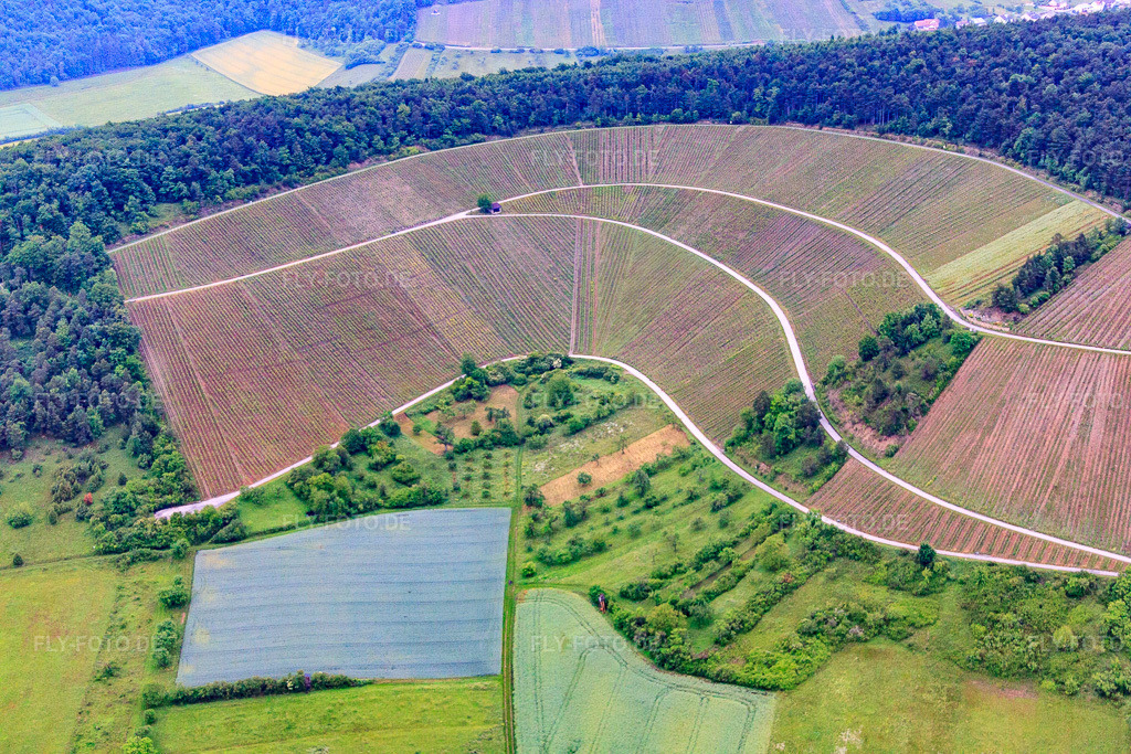 Luftbild: Weinberge im Ramsthal mit Südlage in Ramsthal im Bundesland Bayern in Deutschland. – Foto: IMG_65925.jpg vom 30.05.2014 durch Werner Riehm/FLY-FOTO.de – Auflösung des Originals: 4752 x 3168 px
