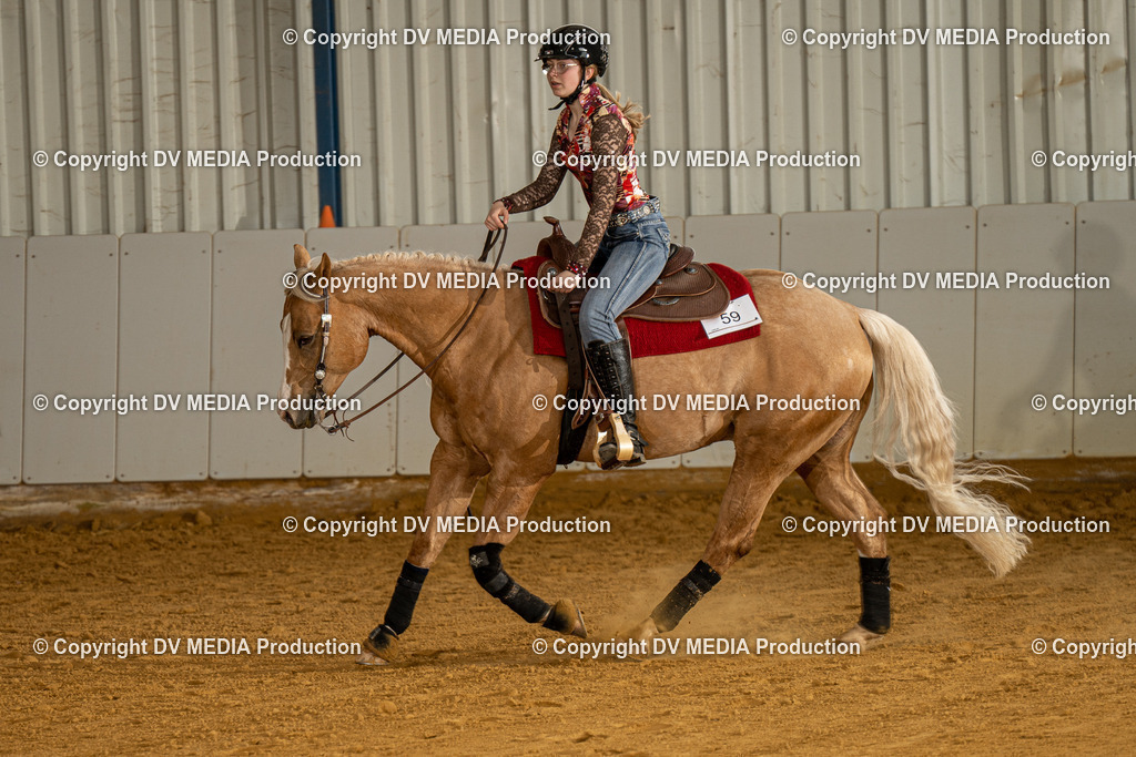 MIT00261 | dv-media-shop - Realisiert mit Pictrs.com