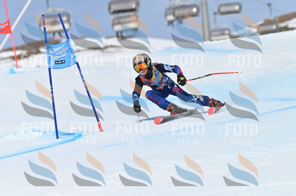 BGV_1278 | holidayphoto