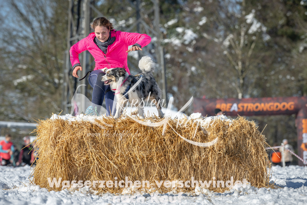 1104_ZZ94728-2 | kk-dogfotos