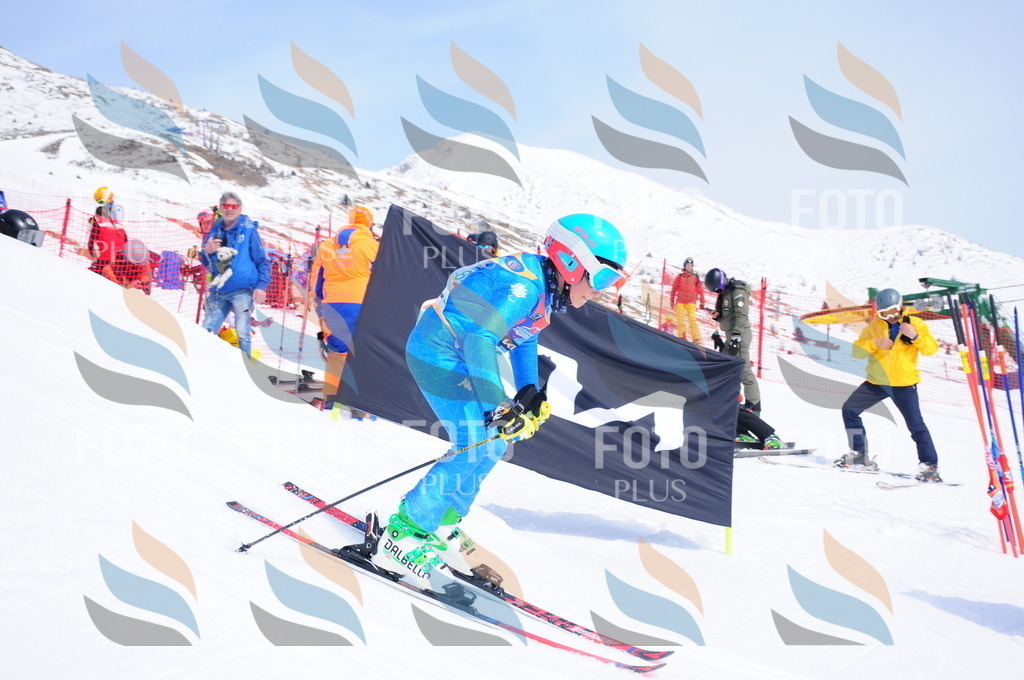 DSC_2779 | holidayphoto