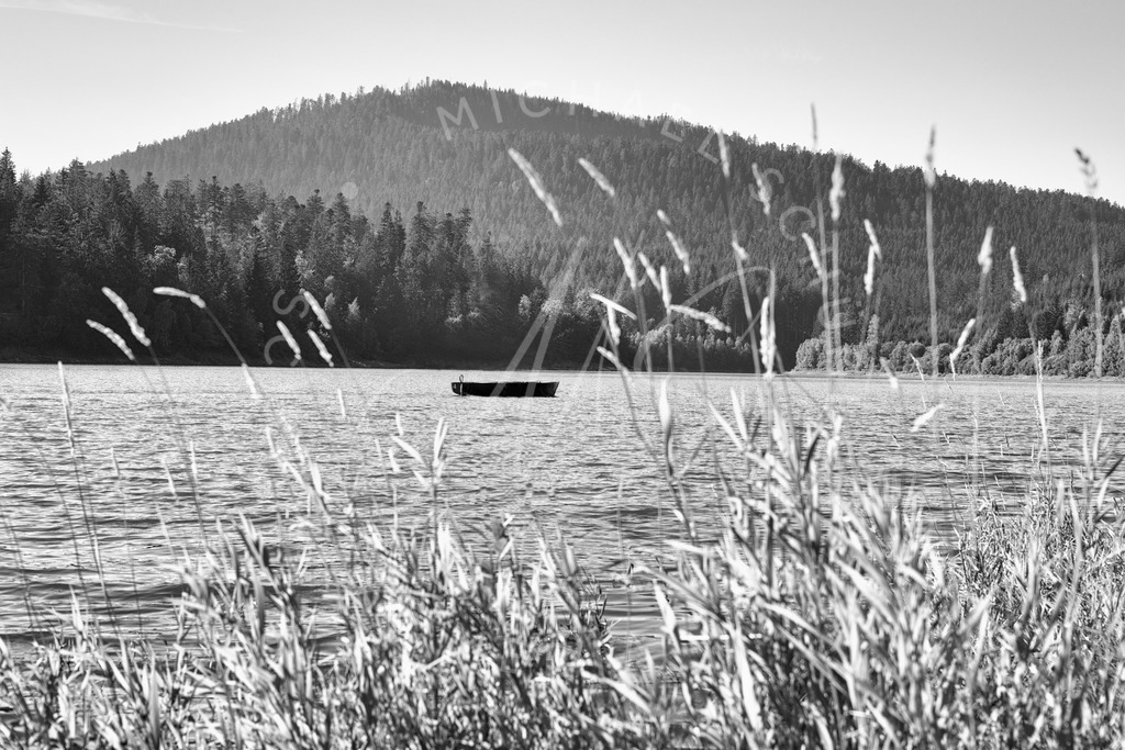 2020-09-15 Schwarzenbach Talsperre  - _MG_3568 | Ein Boot - Talsperre Schwarzenbach - Realisiert mit Pictrs.com