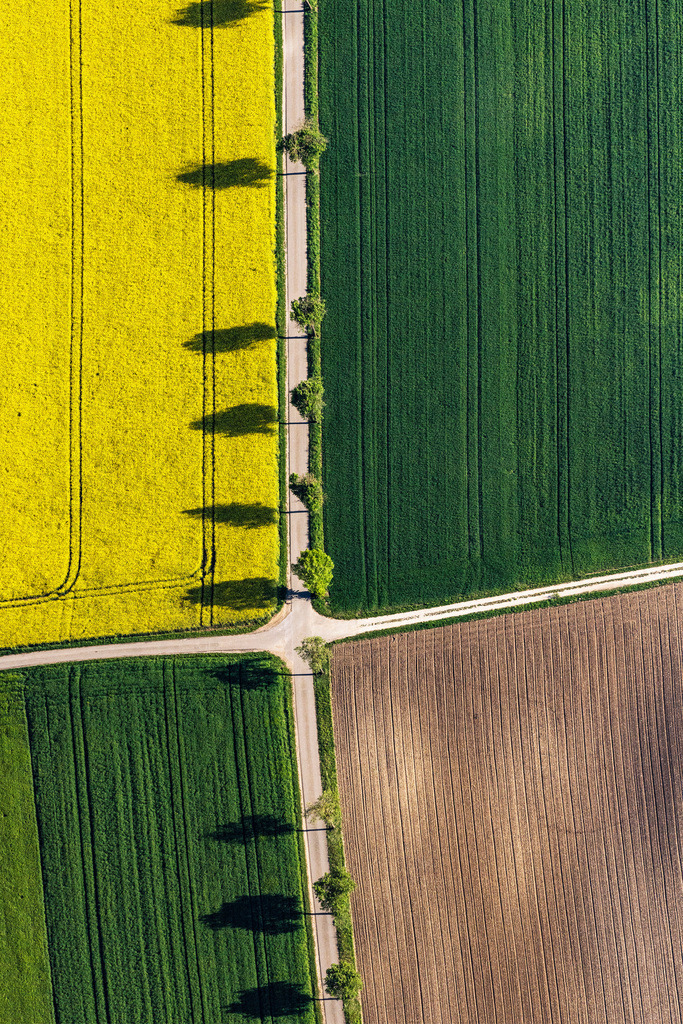 dr__0027262.jpg | MONHEIM 14.05.2019 Feld- Landschaft gelb blühender Raps- Blüten in Monheim im Bundesland Bayern, Deutschland. // Field landscape yellow flowering rapeseed flowers in Monheim in the state Bavaria, Germany. Foto: Daniel Reiter