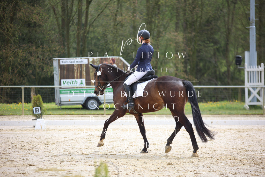 IMGT3080 | pl-fotografie