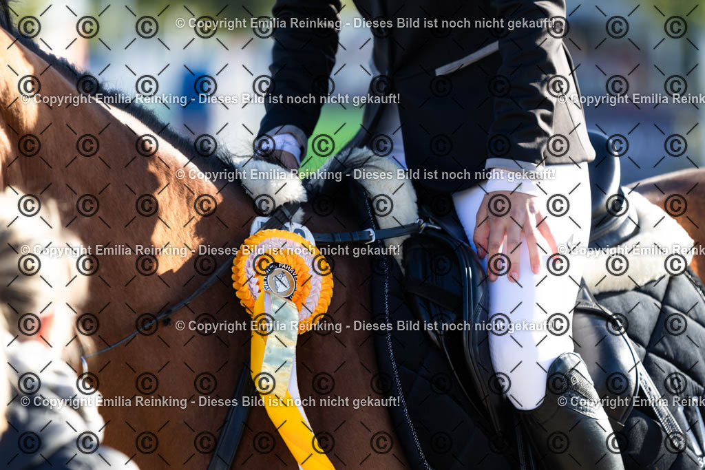 CL5A0994 | Emilia Reinking Fotografie - Realisiert mit Pictrs.com