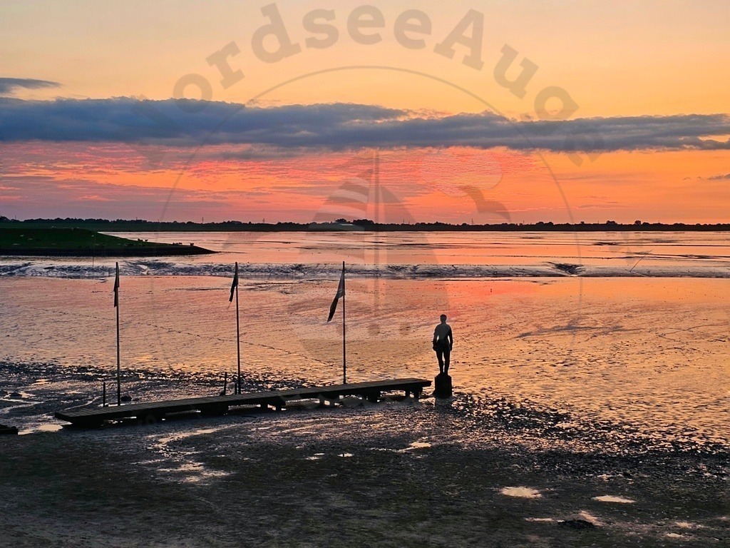 Sonnenaufgang Sonnenuntergang Nordsee | Sonnenaufgang und Sonnenuntergang Momente an der Nordsee  - Realisiert mit Pictrs.com