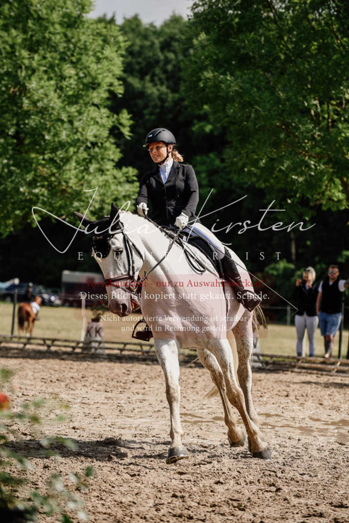 DSC_0366 | Pferde- und Turnierfotografie in Westsachsen. Pferdeportraits, Auftragszeichnungen und intuitive Kunst.