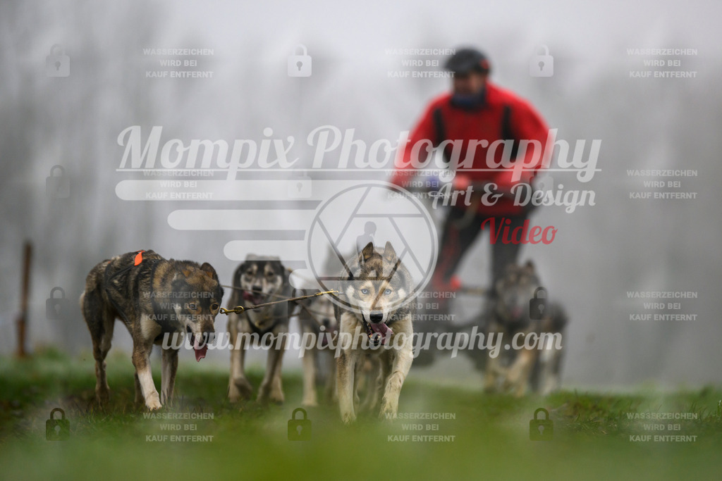 MompixPhotography_CDF2023_FFST_Di_Kart-87 | PayLife