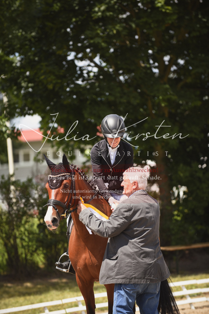 DSC_1572 | Pferde- und Turnierfotografie in Westsachsen. Pferdeportraits, Auftragszeichnungen und intuitive Kunst.