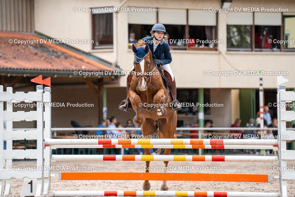 Eppelheim Tag 2-570 | dv-media-shop - Realisiert mit Pictrs.com