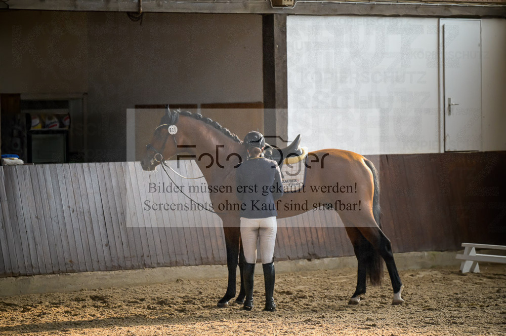 Reitturnier Voxtrup | Entdecke hochwertige Reitturnierfotos von Foto Oger. Professionell, emotional und authentisch – jetzt Lieblingsmomente im Shop bestellen.Deutschlandweite Turnierfotografie. - Realisiert mit Pictrs.com