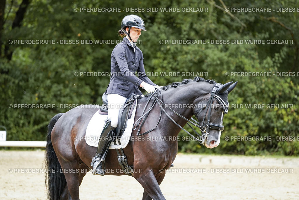 DSC05972 | Pferdegrafie