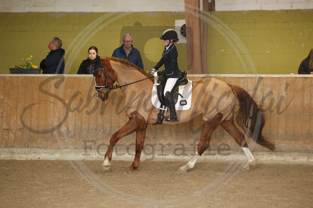 994A9092 | sabrinanicolaifotografie - Realisiert mit Pictrs.com