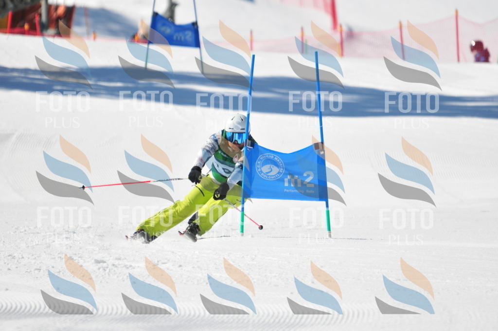 C4345 | holidayphoto