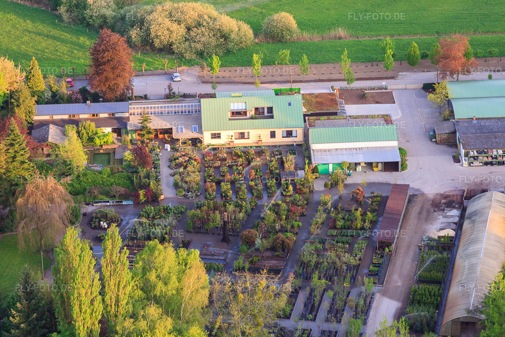 Luftbild: Bienwald-Baumschule GbR in Berg im Bundesland Rheinland-Pfalz in Deutschland. Foto: IMG_27012.jpg vom 28.04.2010 durch Werner Riehm/FLY-FOTO.deGreentec und Bienwald Baumschule - Eine weitere WordPress-Website