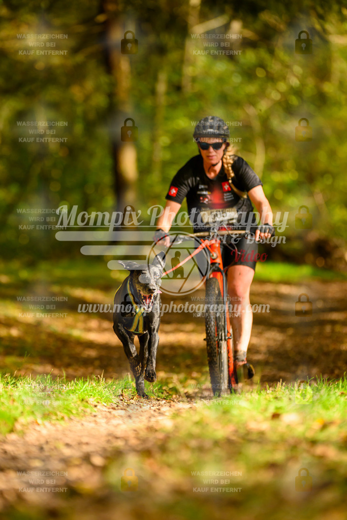 MompixPhotography_20TSB_E1_DS1-12 | PayLife