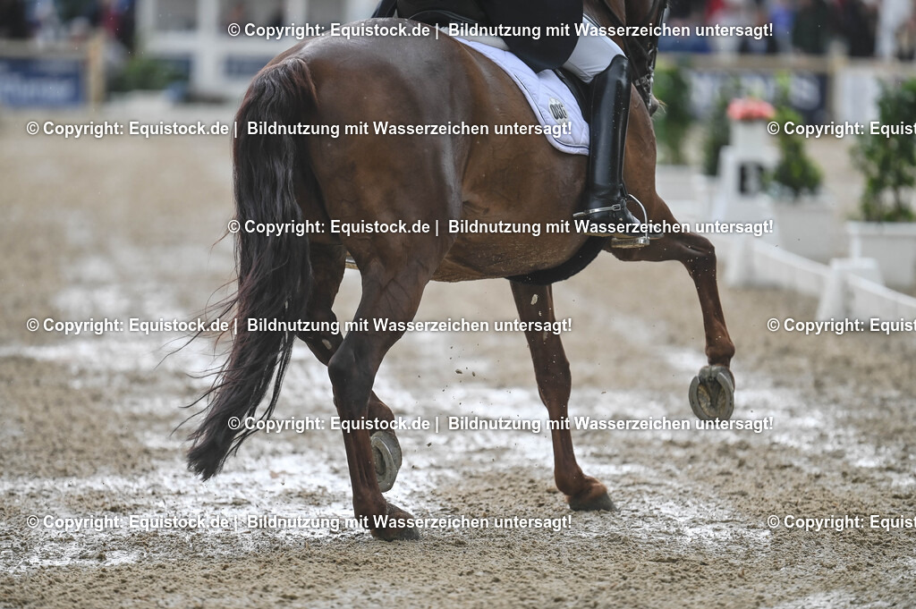 20240519_03_GP-Special-Tour_0232 | Foto: Thomas Hartig