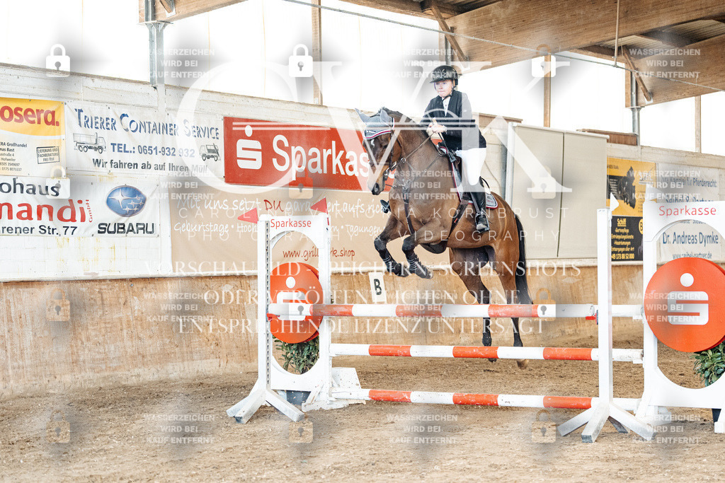 CK905247 | Turnierfotografie Pferdefotografie Trier Rheinland-Pfalz Pferdesport Reitsport Tierfotografie Sportfotografie Pferdevideo Pferdevideografie Equestrianvideography equestrianphotography  - Realisiert mit Pictrs.com
