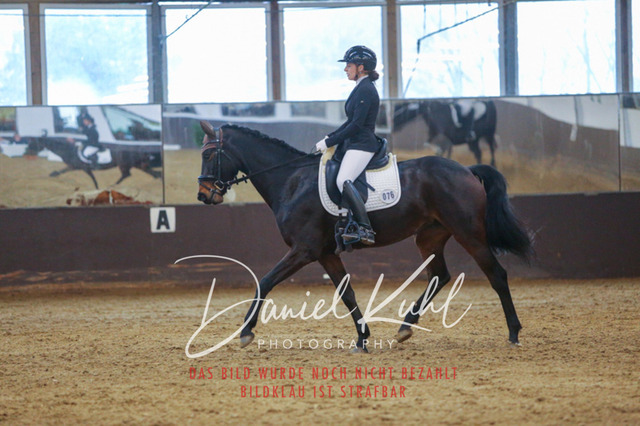 IMG_8142 | Turniersportfotografie; Pferdefotografie; Dressurfotografie