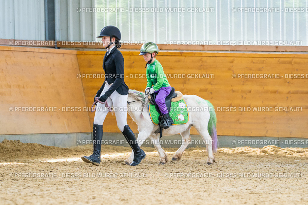 DSC00154 | Pferdegrafie