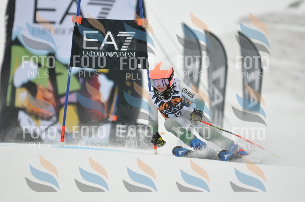 DSC_7393 | holidayphoto