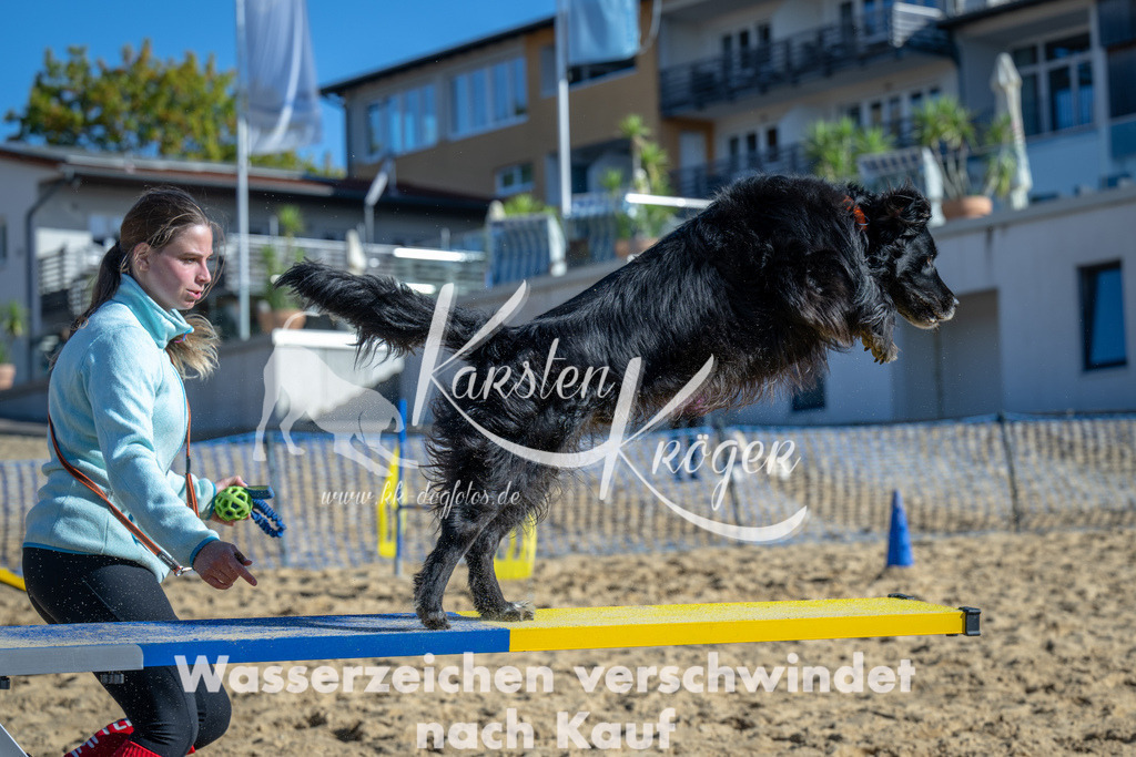1131_ZZ91424 | kk-dogfotos