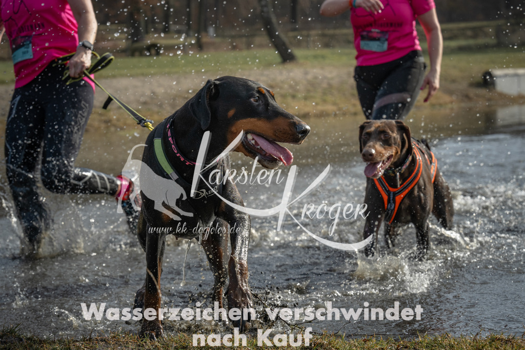 1027_ZZ97611 | kk-dogfotos