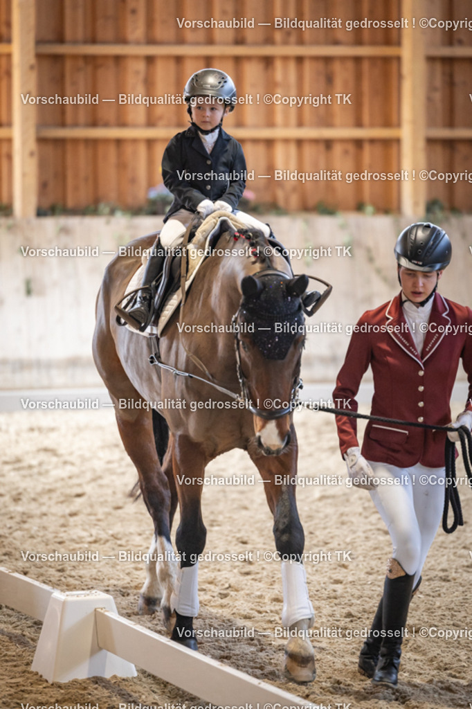 _D5A5341 | Emotionale Pferde- & People-Fotografie rund um Heidelberg, Leimen & Umgebung. Natürliche Fotos von Pferd, Mensch & Familie. Jetzt Termin sichern!