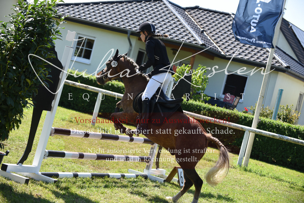 DSC_9466 | Pferde- und Turnierfotografie in Westsachsen. Pferdeportraits, Auftragszeichnungen und intuitive Kunst.