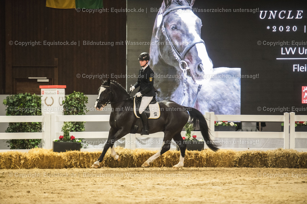 20240302_Hengstvorstellung_Marbach_TOMsPiC_0698 | equistock
